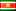 Suriname Icon 16x16
